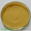 Top quality Natural Guava fruit extract powder